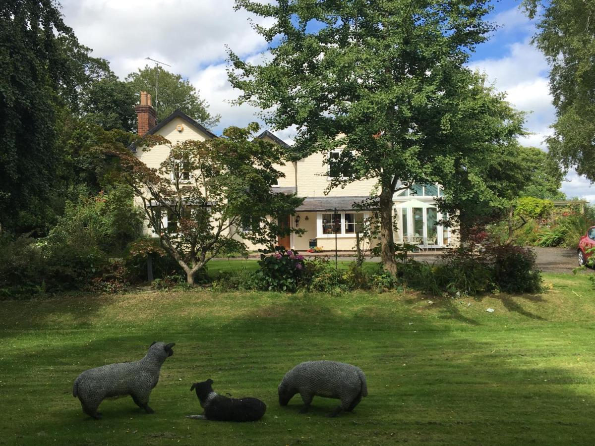 モントゴメリー Bron Hafren Bed & Breakfast エクステリア 写真
