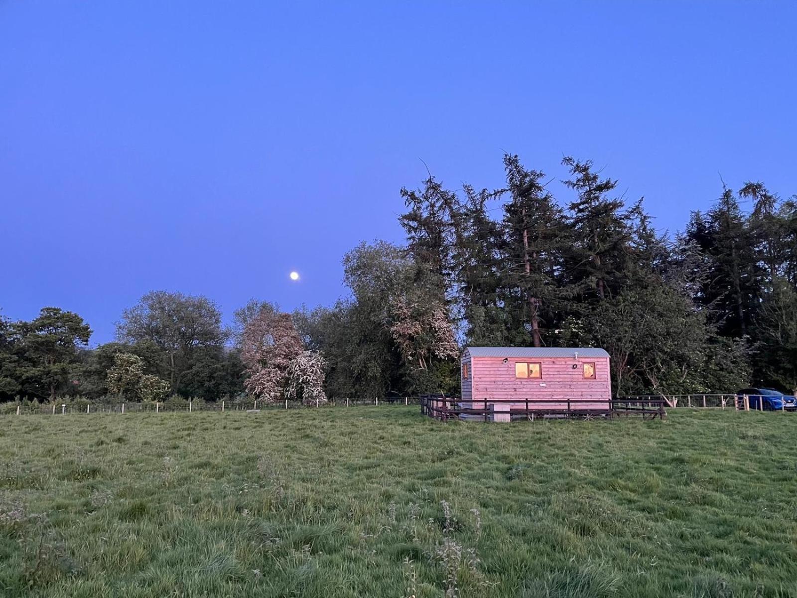モントゴメリー Bron Hafren Bed & Breakfast エクステリア 写真